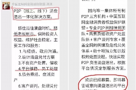 海宁为什么选择专业追讨公司来处理您的债务纠纷？